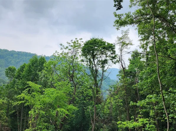 0 Poplar Cove Rd, Clyde, NC 28721