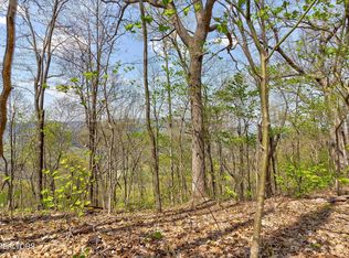 LOT 125 E Settlers View Ln, Sevierville, TN 37862