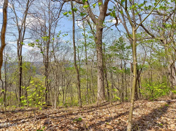 LOT 125 E Settlers View Ln, Sevierville, TN 37862