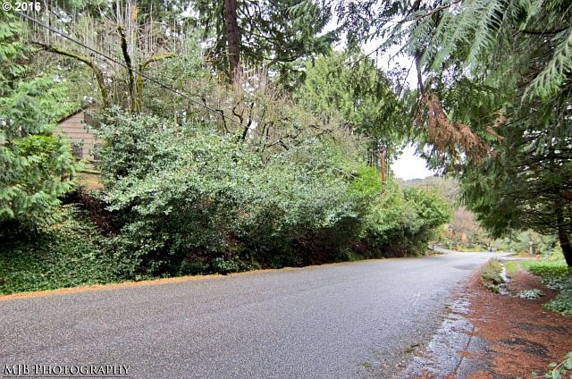 2nd image of SW 42nd Ave