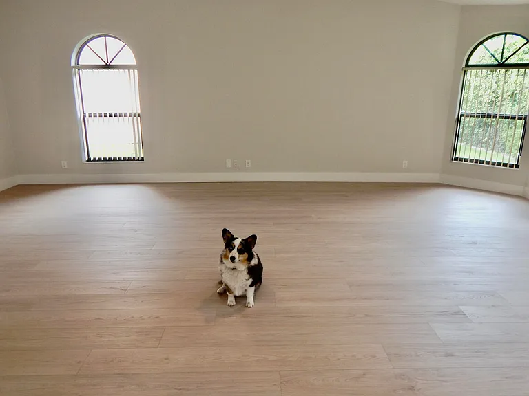 22864 Marbella Cir — Photo 7