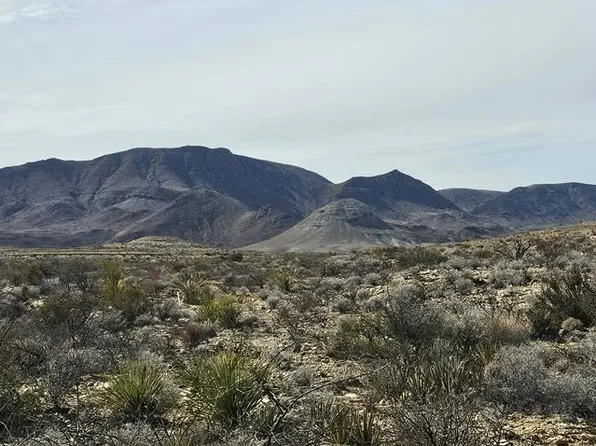 75 Slate Spgs, Terlingua, TX 79852