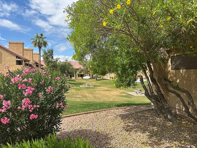 4901 S Calle Los Cerros Dr #279 — Photo 15