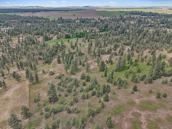 2nd image of Nka Malloy Prairie Rd Parcel B-03032.9049