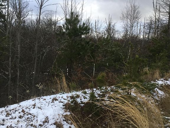 4th image of Appalachian Way #66