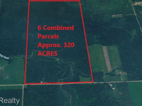 0 E Town Line Rd, Pickford, MI 49774