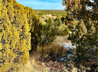 8612 Fox Pl, Show Low, AZ 85901