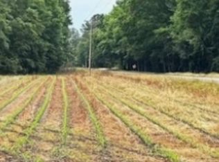1234 Mount Zion Rd, Saint George, SC 29477