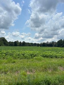 N 75th, Greenup, IL, 62428