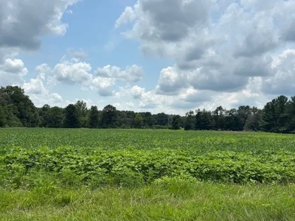 N 75th, Greenup, IL 62428