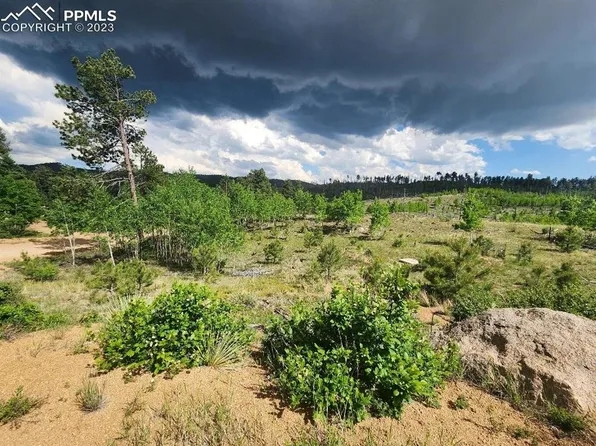 319 Brooks Ln, Sedalia, CO 80135