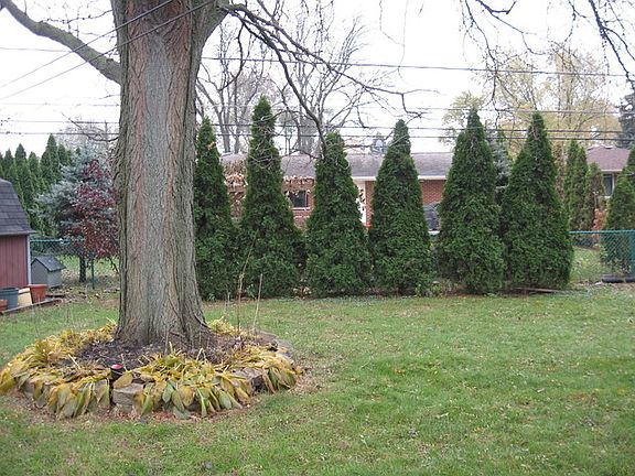 5th image of 341 W Kathleen Dr
