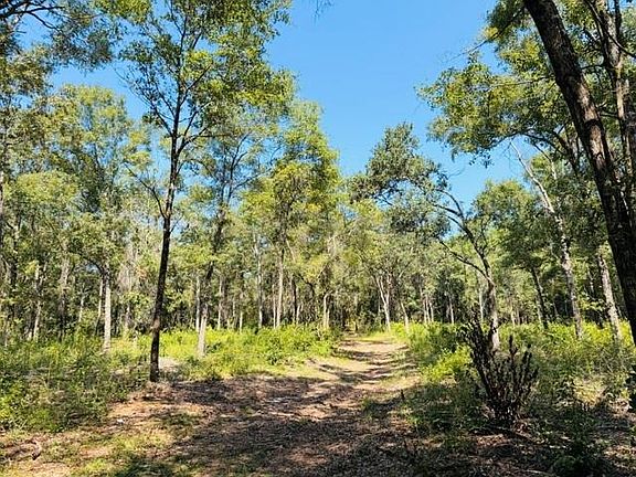 5th image of 0 Hidden Oaks Ln Lot 1