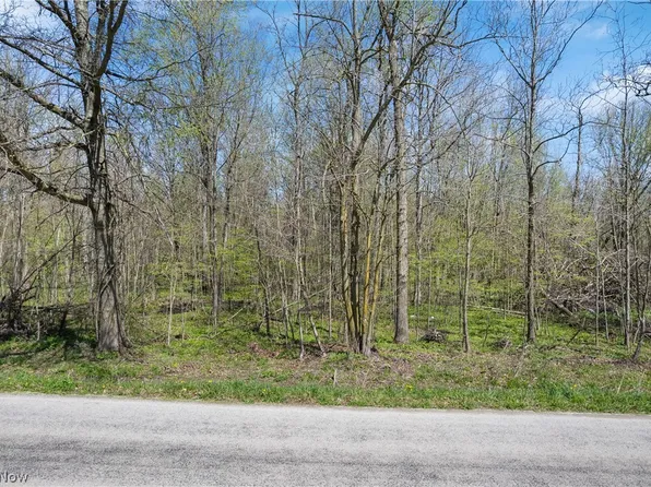 616 Township Road 150, Sullivan, OH 44880