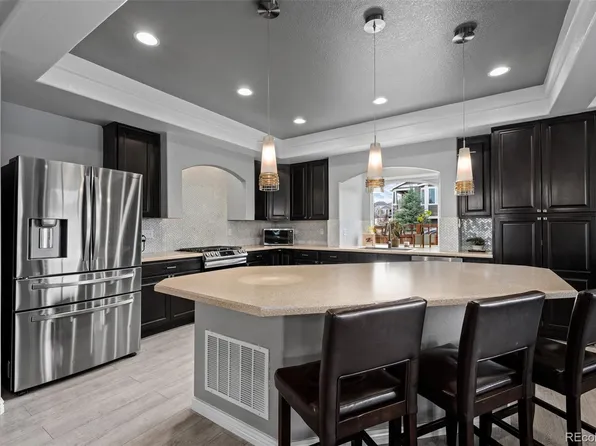 3917 Starry Night Loop, Castle Rock, CO 80109