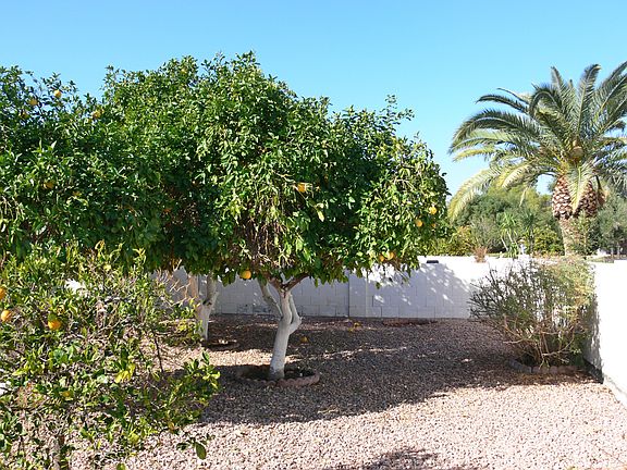4th image of 9354 E OLIVE Lane