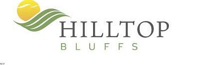 2nd image of 2317 Hilltop Bluffs Ct