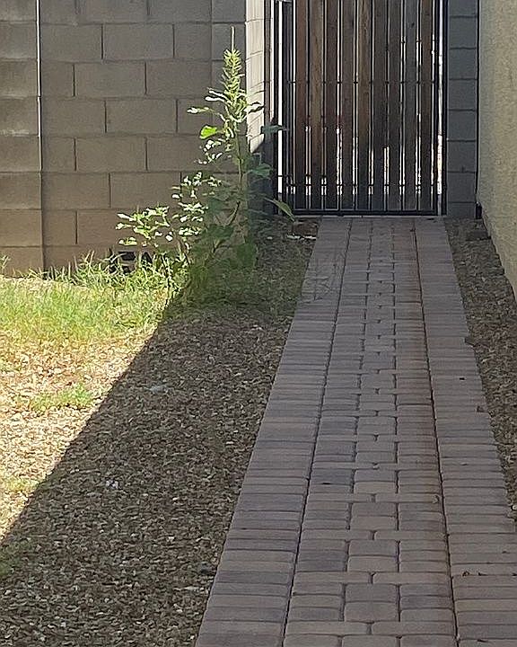 2nd image of 8919 N 89th Dr