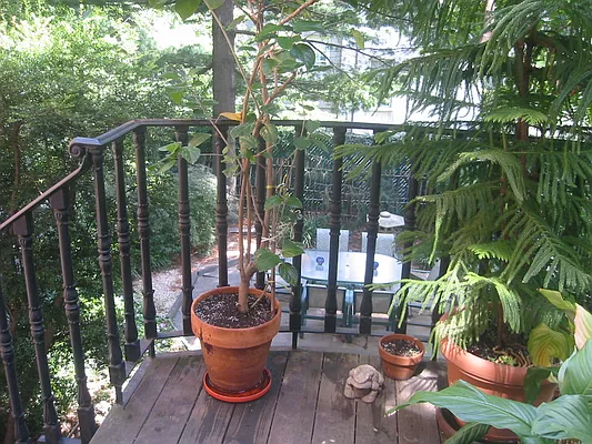 Rented by Brown Harris Stevens | media 24