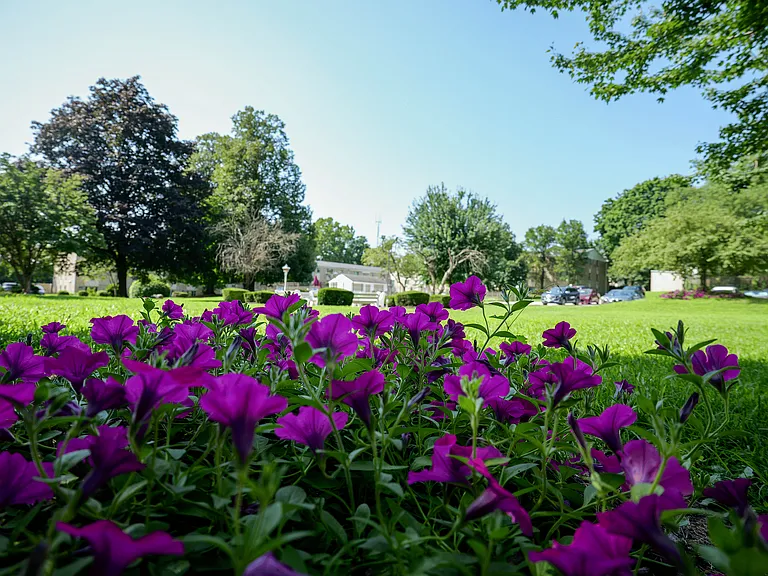 Summit Gardens — Photo 22
