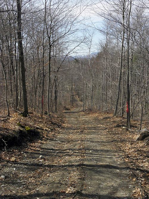 2nd image of 01 Harris Road