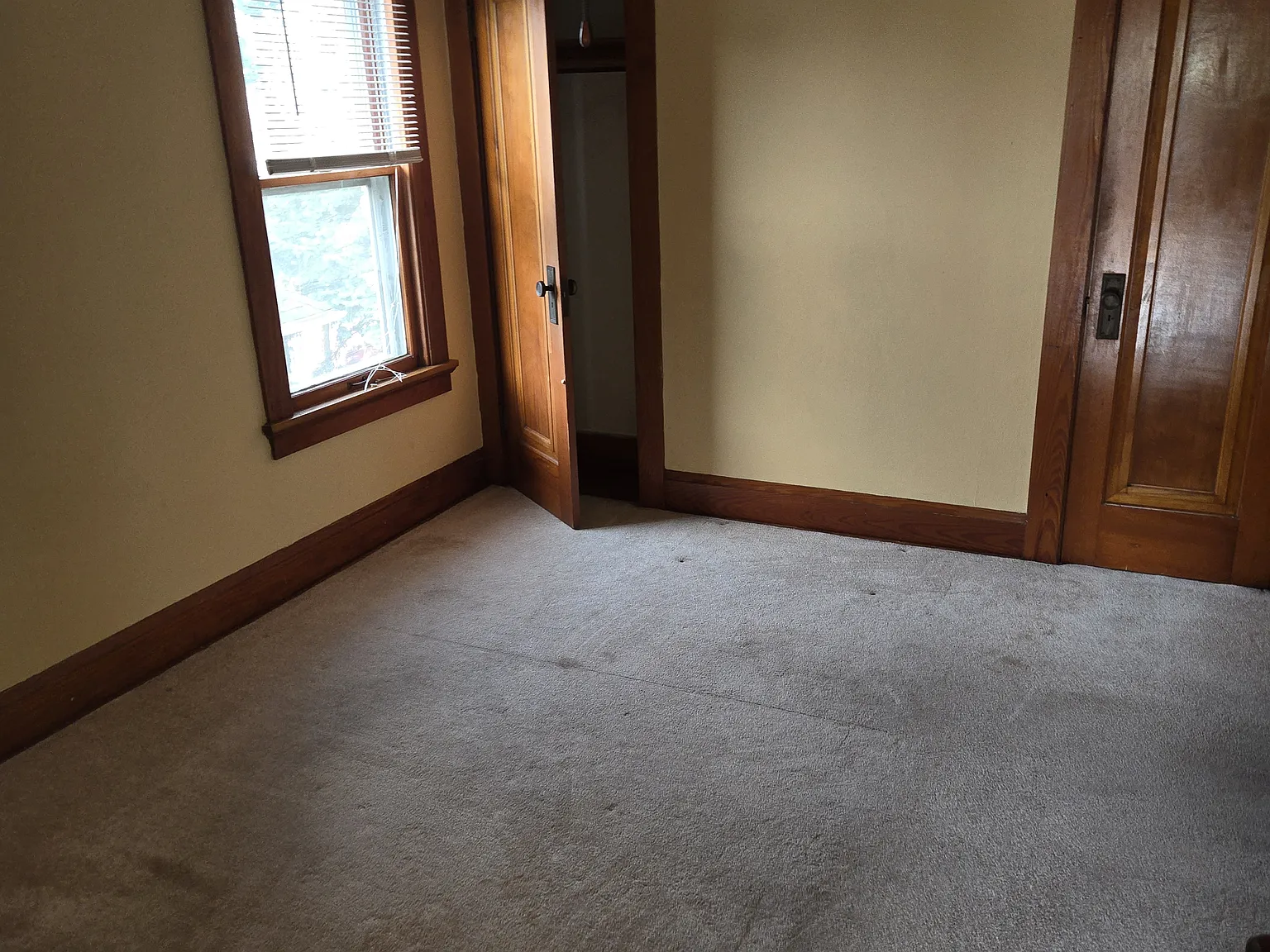2 bed, 1000 sqft, $1,300 — Photo 3