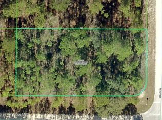 LOT 13 Tinamou Ave, Brooksville, FL 34614