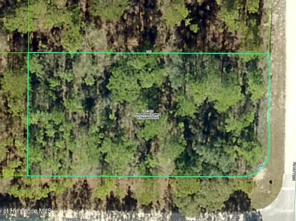 LOT 13 Tinamou Ave, Brooksville, FL 34614