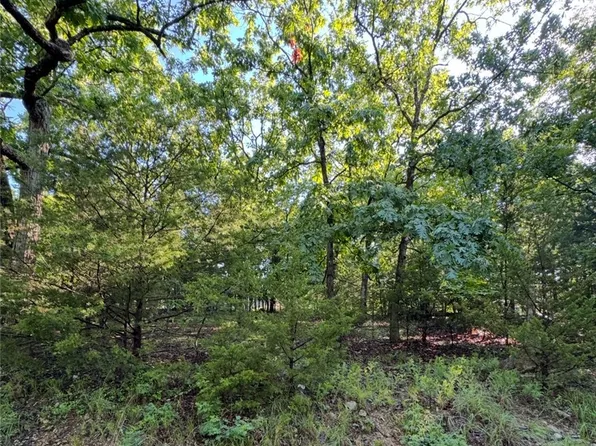 Geronimo Springs Rd, Macks Creek, MO 65786