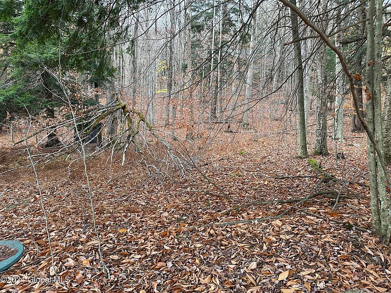 3rd image of 111 Horse Hill Road