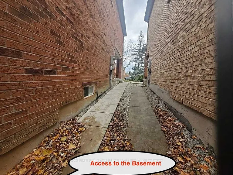 3784 Forest Bluff Cres #BASEMENT — Photo 3