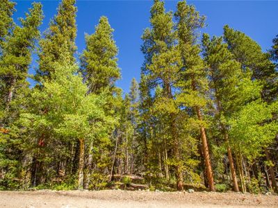 154 George's Way, Alma, CO, 80420