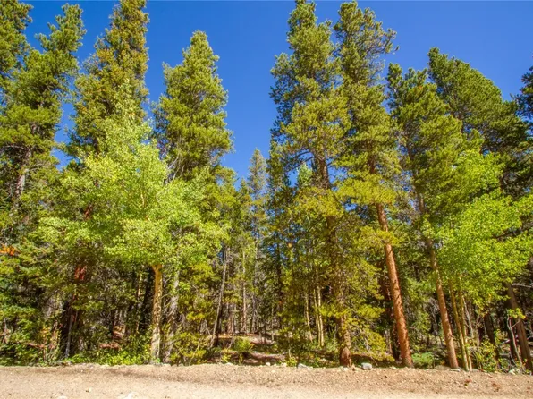 154 George's Way, Alma, CO 80420