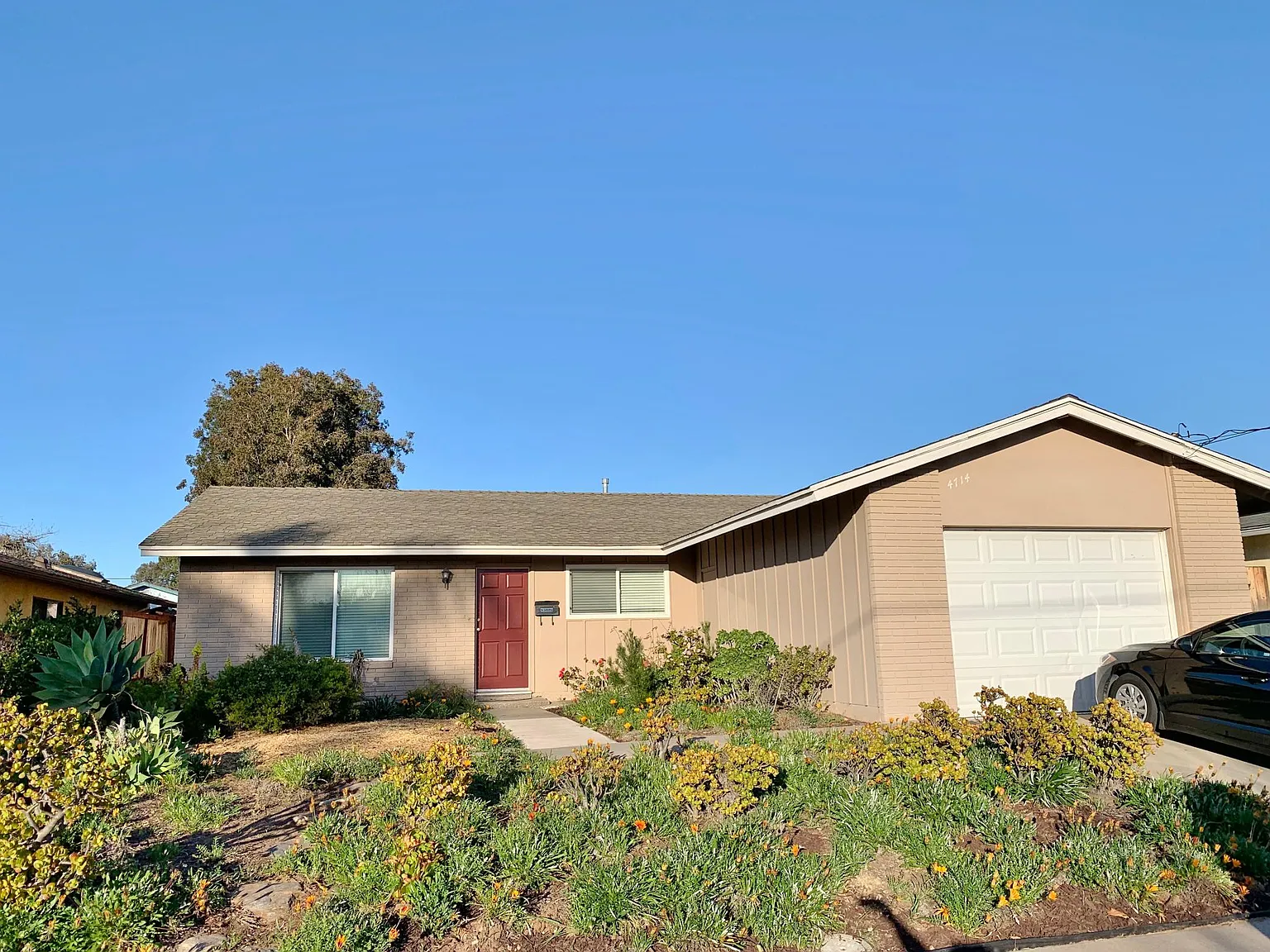3 bed, 1204 sqft, $4,195 — Photo 1
