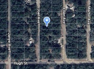 Joel Avenue Lot #10, Interlachen, FL 32148