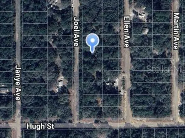 Joel Avenue Lot #9, Interlachen, FL 32148