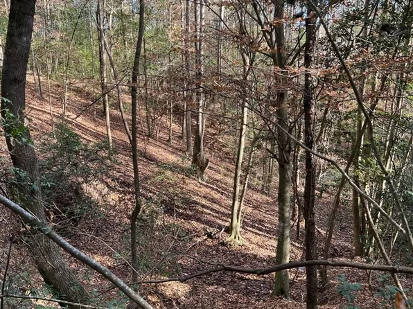 County Road 79, Billingsley, AL 36006