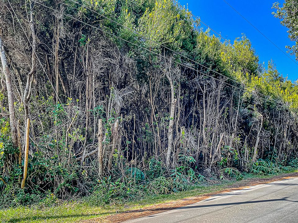 2nd image of Uluhe Pl Lot 105