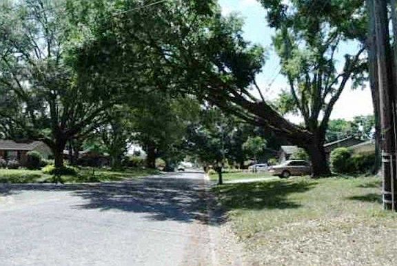 2nd image of 1606 Sunnyhills Dr