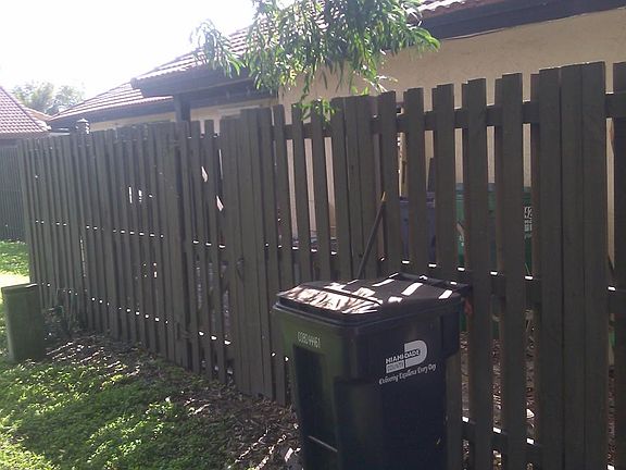 Back yard