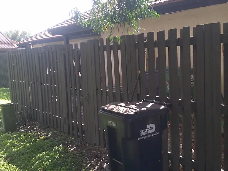 Back yard