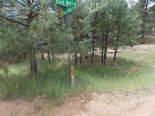 738 Black Mesa Cir, Florissant, CO 80816