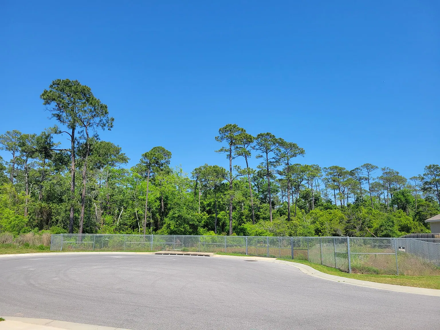 4 bed, 2304 sqft, $2,750 — Photo 3