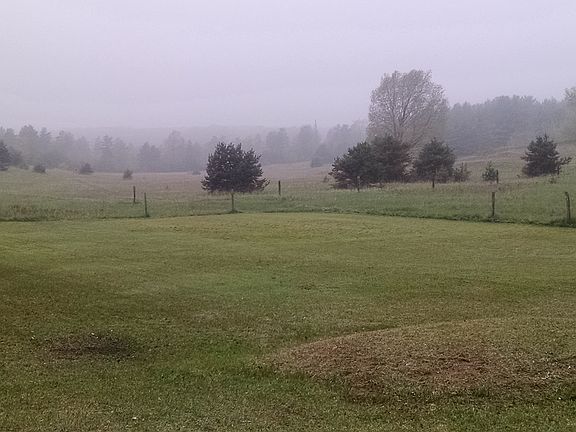 Mist from state forest way