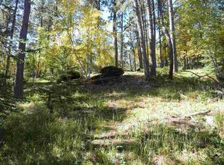 11307 Black Forest Rd, Lead, SD 57754