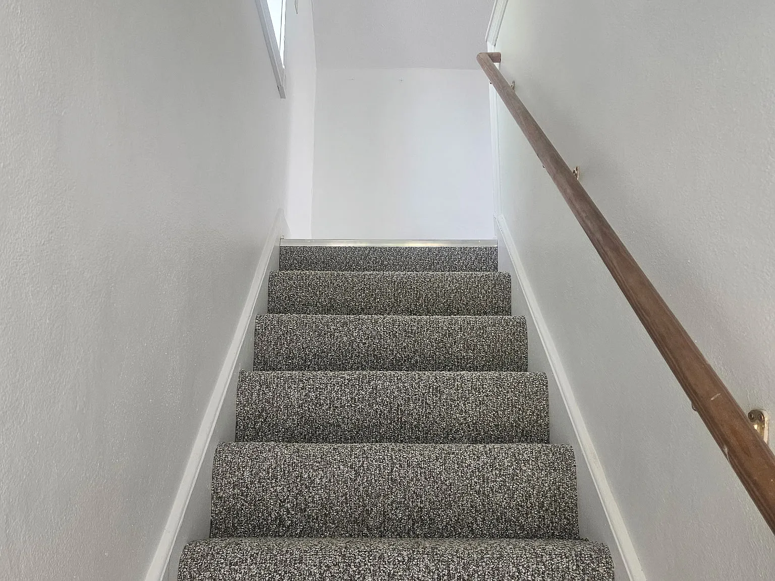 1 bed, $900 — Photo 4
