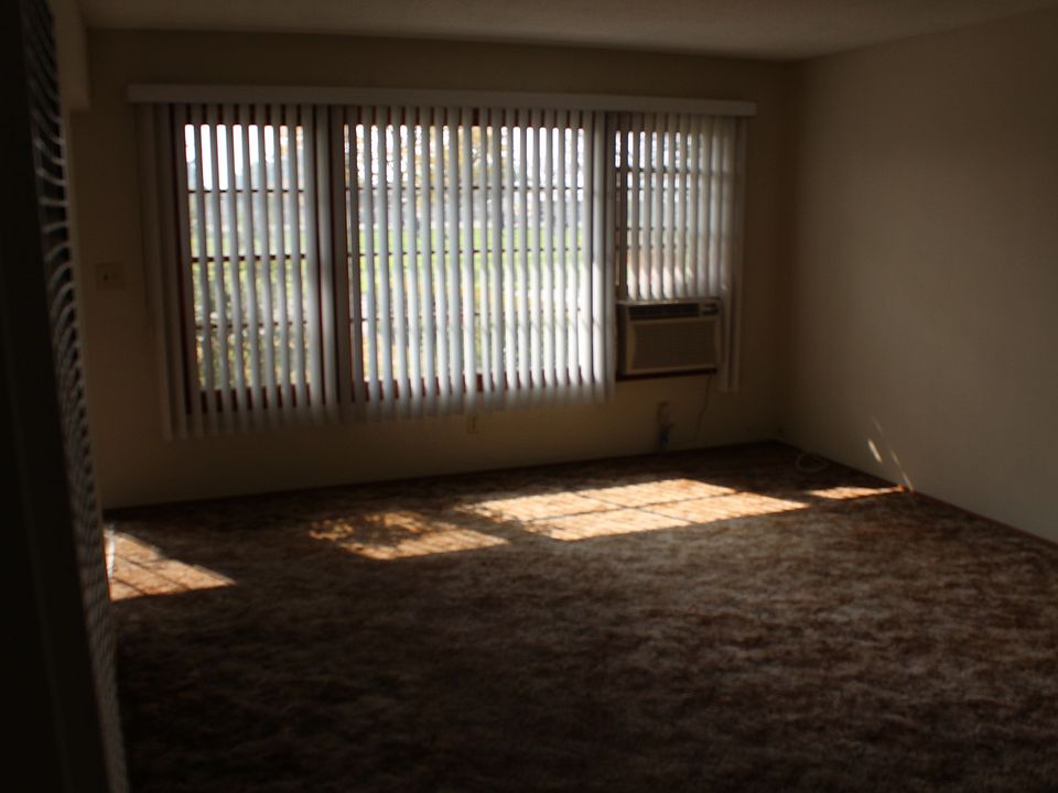 Carpet, drapes.