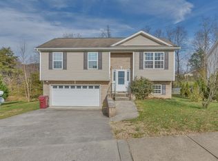 1178 Snowden Ter, Johnson City, TN 37601