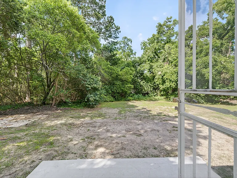 Backyard