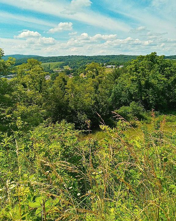Overlook of Princeton